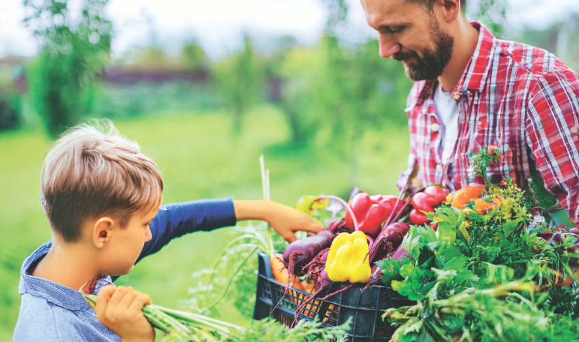 bambino che sceglie le verdure da un cesto